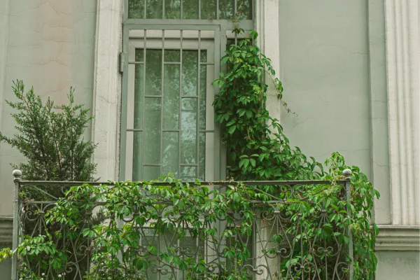 Jardim Vertical Multifuncional Plantas Culinárias Aromáticas Hortas Compactas Urbanas