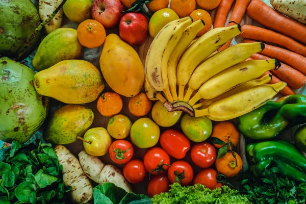 Guia de Frutas Adaptáveis Cultivo em Vasos Pequenos Espaços Urbanos