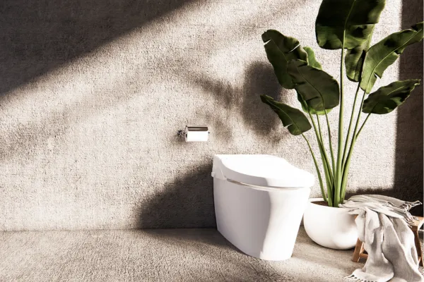 Cultivo de Jiboia em Banheiros Pequenos sem Janelas com Iluminação LED Indireta